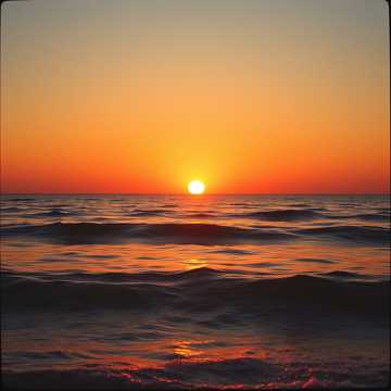 Amore Di Mare