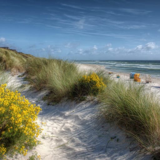 Beach „House“ Wester