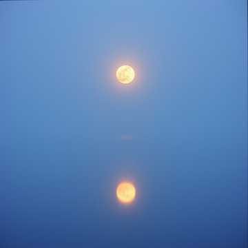 隠した心
