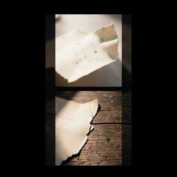 torn pages
