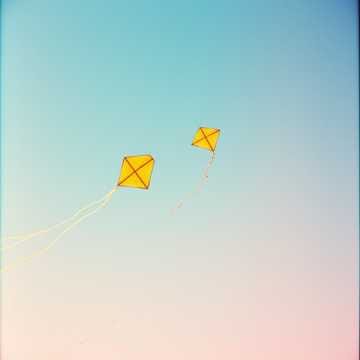 Kites in the Sky