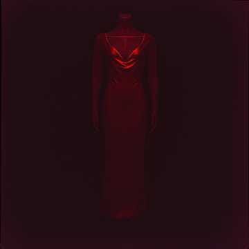 Venus In The Shadows