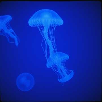 深い海の底