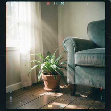 House Inside My Heart