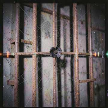 檻蜘蛛-禁縛-