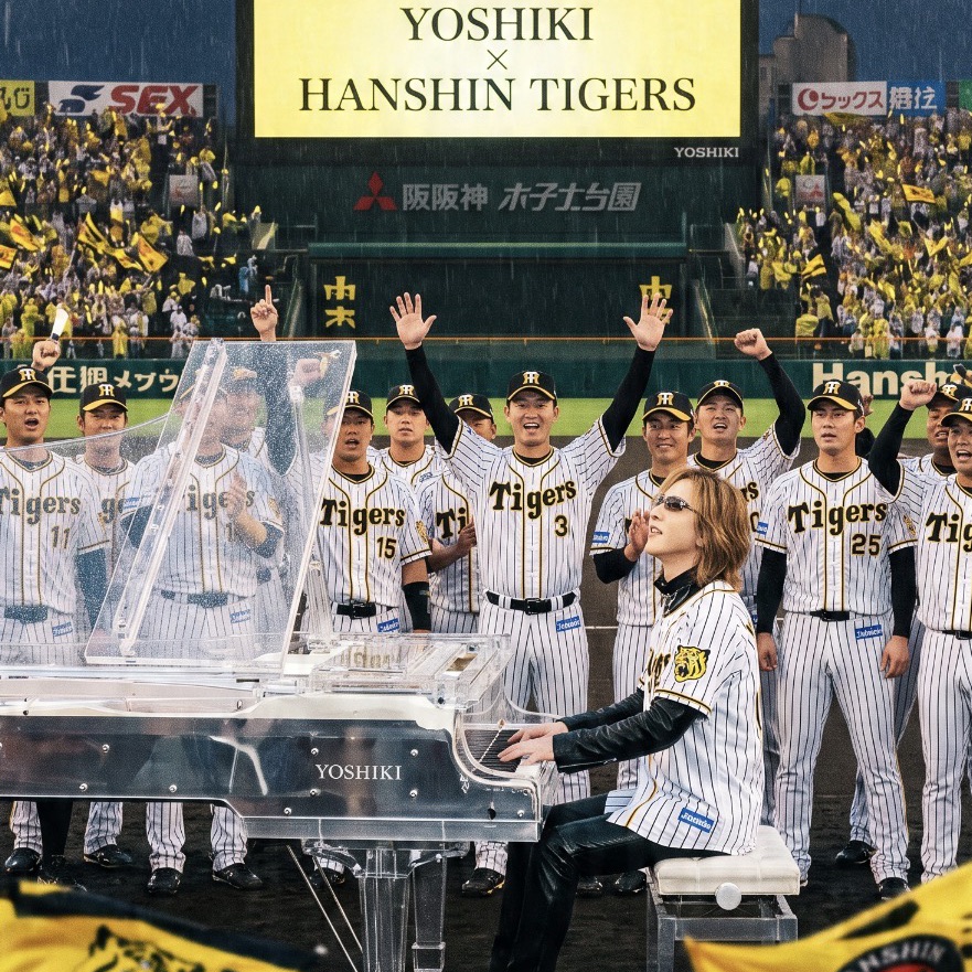 We Are Tigers