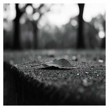 Golden Park Walk