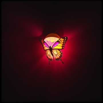 Le papillon
