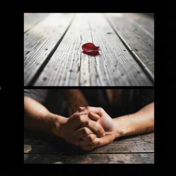Amor sin palabras