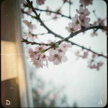 傍
