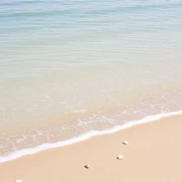 Open Water