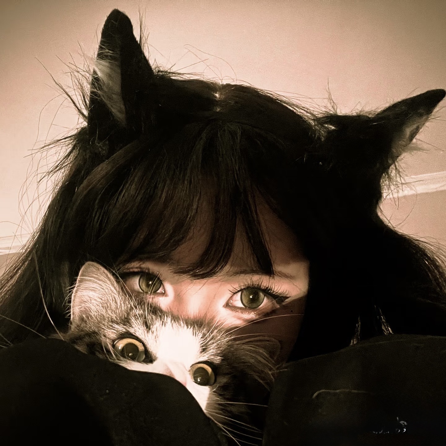 猴子爱蹦迪