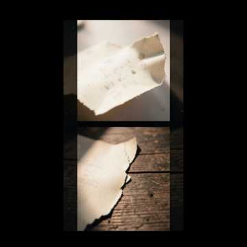 torn pages