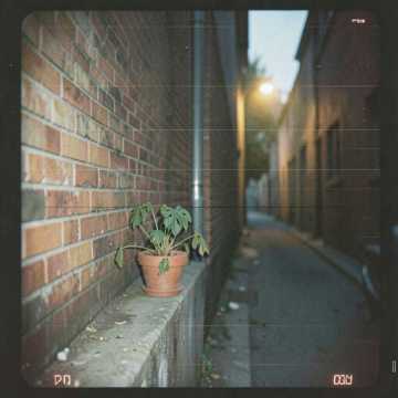 Если бы ты знал